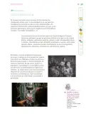 Miniatura página 192 de Nuestros saberes: Libro para alumnos, maestros y familia.   Libro de Educación Primaria Grado 6°  Ciclo Escolar 2025 - 2026