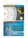 Miniatura página 196 de Proyectos Comunitarios.   Libro de Educación Primaria Grado 5°  Ciclo Escolar 2025 - 2026