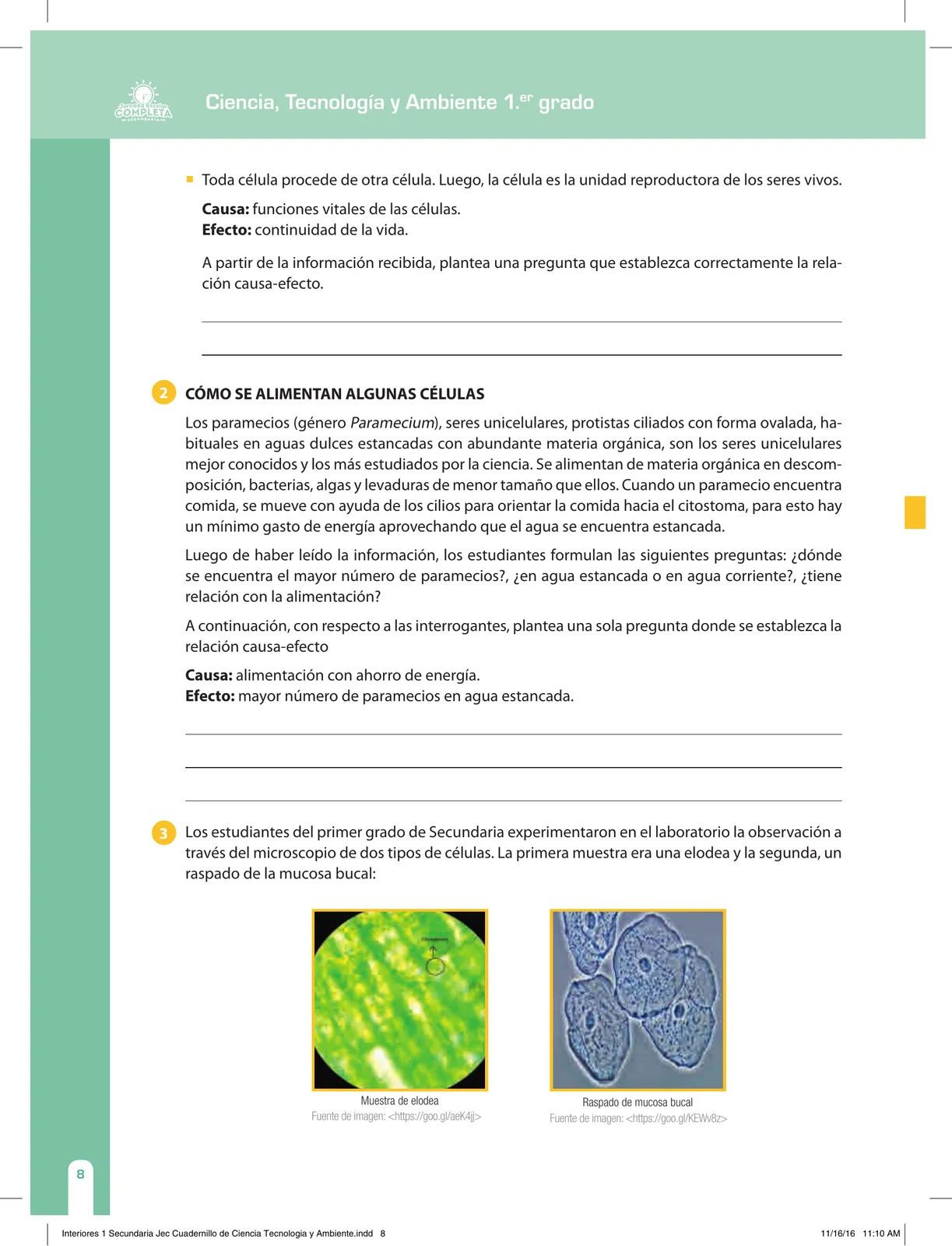 Página 8 de Ciencia, Tecnología y Ambiente 1. Cuaderno de reforzamiento pedagógico - JEC · 2016