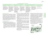 Miniatura página 80 de Posibilidades de trabajo para la acción transformadora y el codiseño. Ficheros. Fase 2  Libro de Educación Preescolar Grado 1°, 2°, 3°  Ciclo Escolar 2025 - 2026
