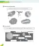 Miniatura página 98 de Inglés – Cuarto Básico | Texto del Estudiante MINEDUC – Descargar PDF · 2024