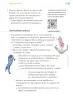 Miniatura página 248 de Proyectos Comunitarios.   Libro de Educación Primaria Grado 1°  Ciclo Escolar 2025 - 2026