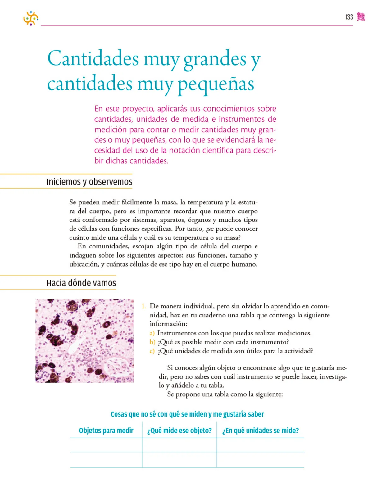 Página 134 de Colección Sk´asolil. Nuestro libro de proyectos. Libro de Educación Secundaria Grado 2° Ciclo Escolar 2025 - 2026