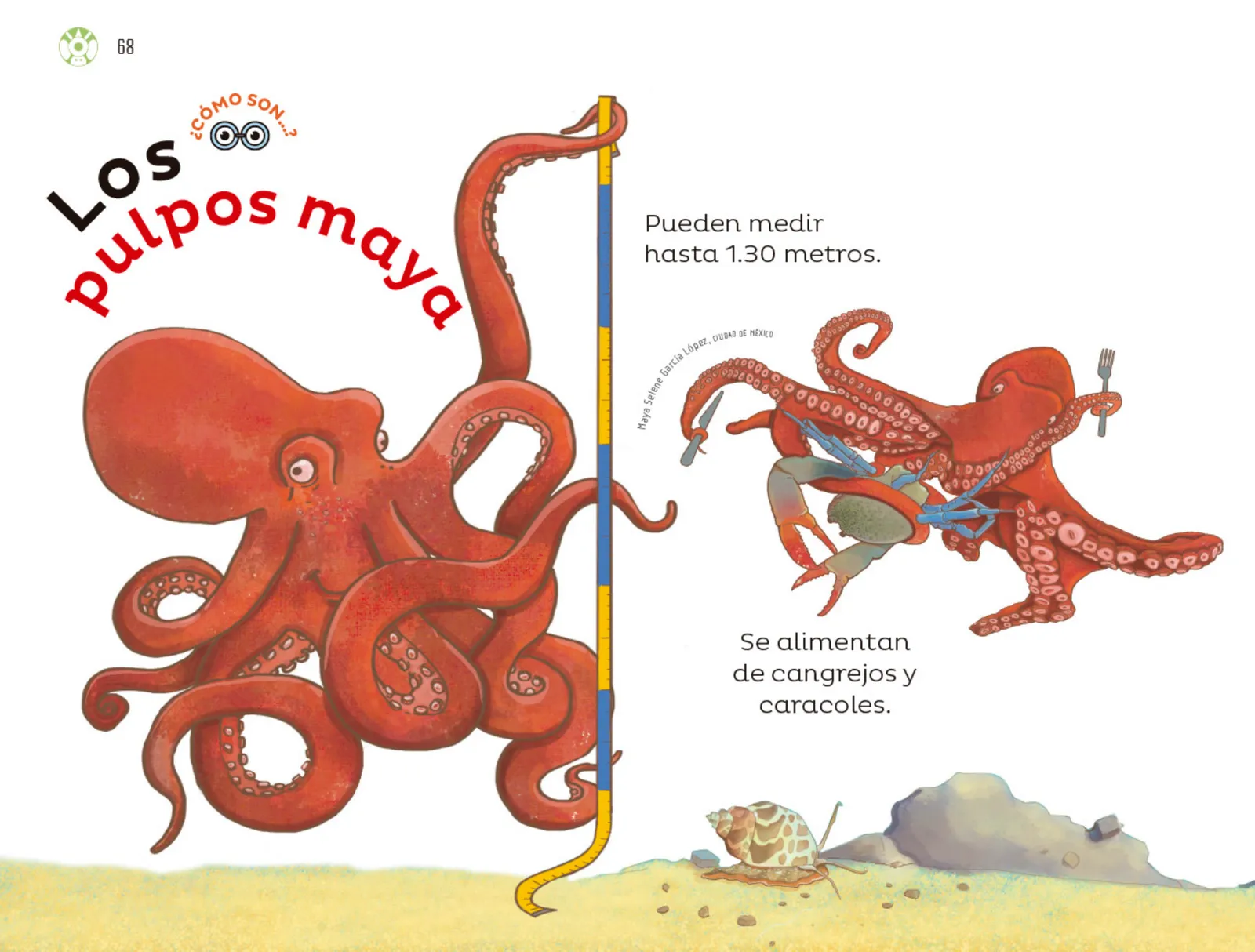 Página 69 de Múltiples lenguajes.   Libro de Educación Preescolar Grado 3°  Ciclo Escolar 2025 - 2026