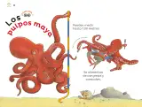 Miniatura página 69 de Múltiples lenguajes.   Libro de Educación Preescolar Grado 3°  Ciclo Escolar 2025 - 2026