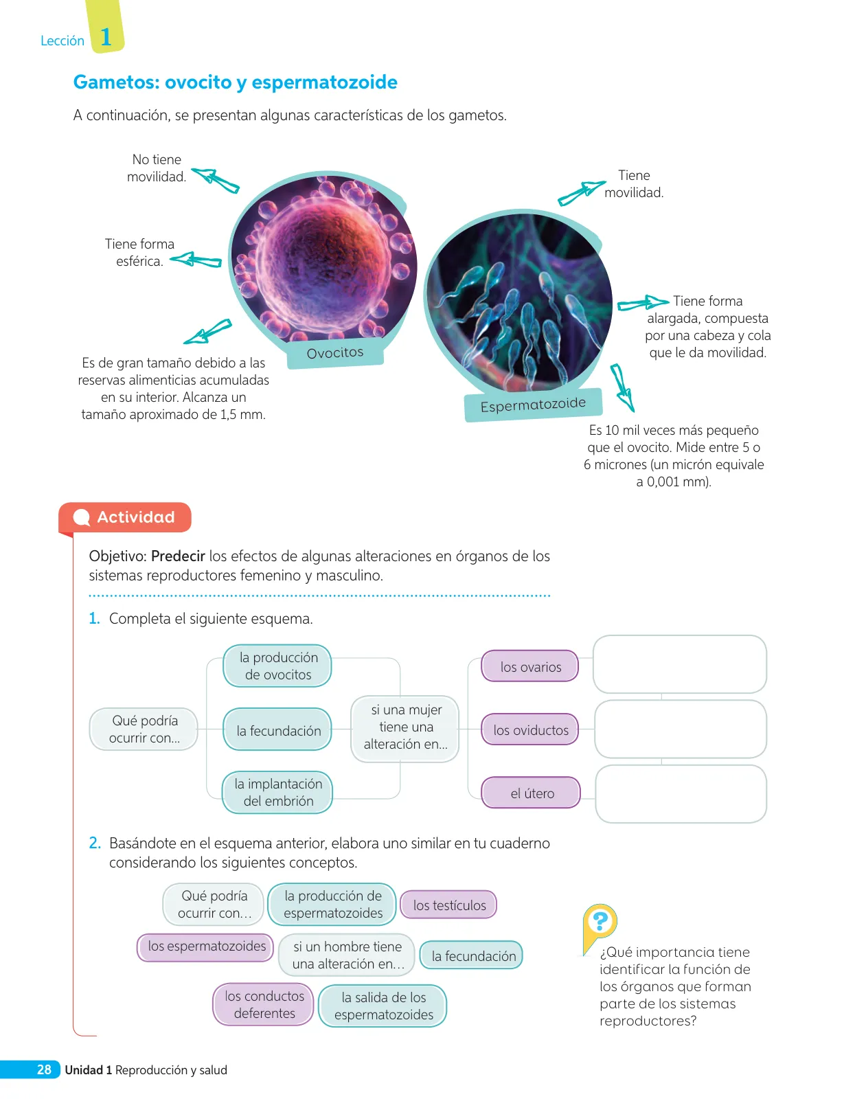 Página 105 de Libro de Ciencias Naturales – Quinto Básico | Texto del Estudiante MINEDUC – Descargar PDF · 2024