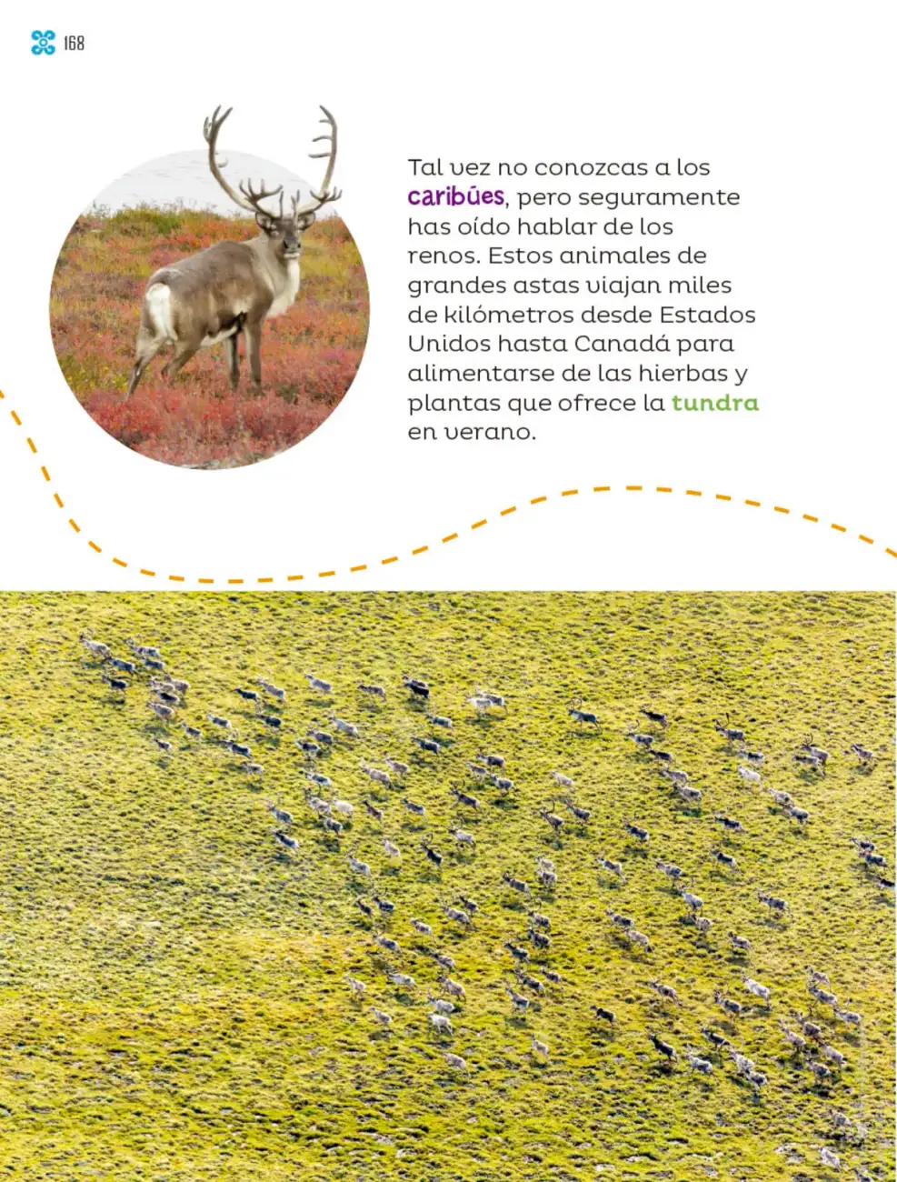 Página 169