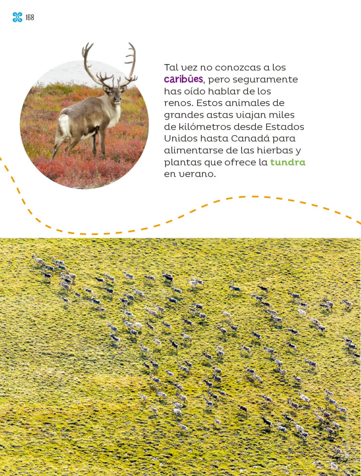 Miniatura página 169 de Múltiples lenguajes.   Libro de Educación Primaria Grado 1°  Ciclo Escolar 2025 - 2026