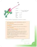 Miniatura página 47 de Ciencias Naturales 3° · Cartilla 01