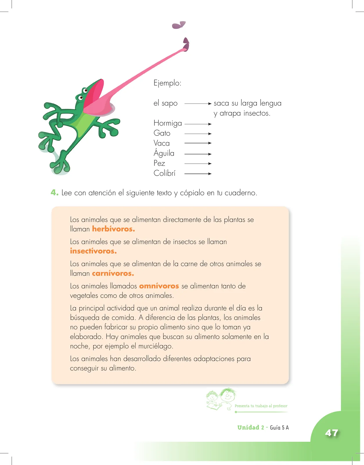 Miniatura página 47 de Ciencias Naturales 3° · Cartilla 01