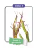 Miniatura página 7 de Ciencias Naturales 4° · Cartilla 02