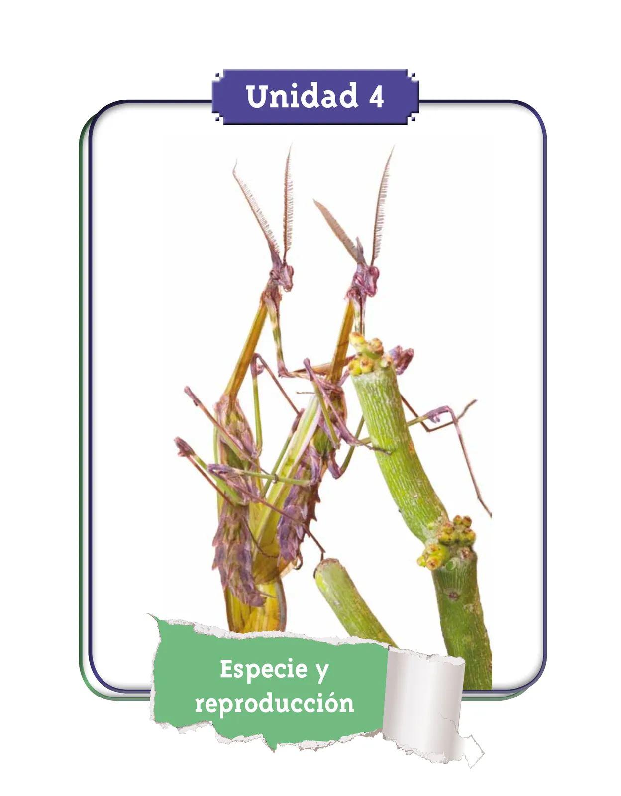 Miniatura página 7 de Ciencias Naturales 4° · Cartilla 02