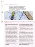 Miniatura página 155 de Nuestros saberes: Libro para alumnos, maestros y familia.   Libro de Educación Primaria Grado 3°  Ciclo Escolar 2025 - 2026