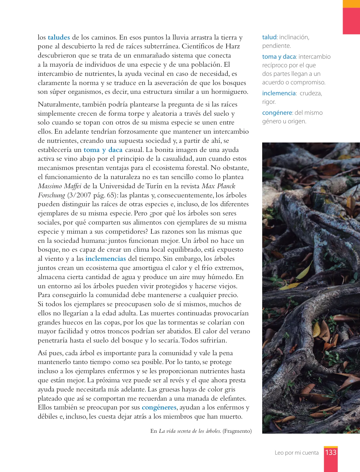 Página 135 de Libro de Lengua y Literatura – Séptimo Básico | Texto del Estudiante MINEDUC – Descargar PDF · 2024