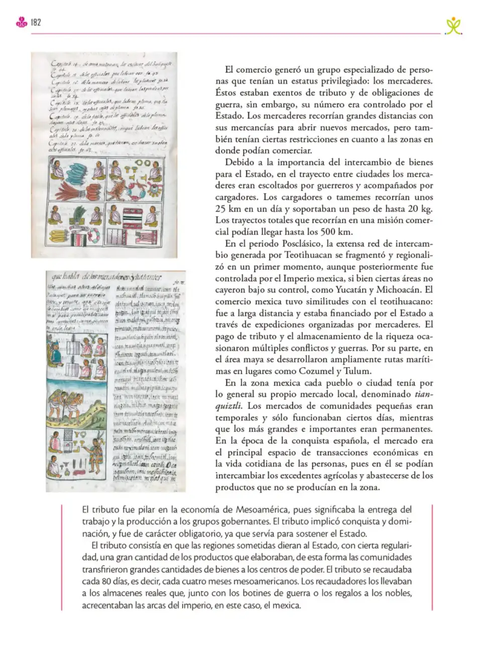 Página 183