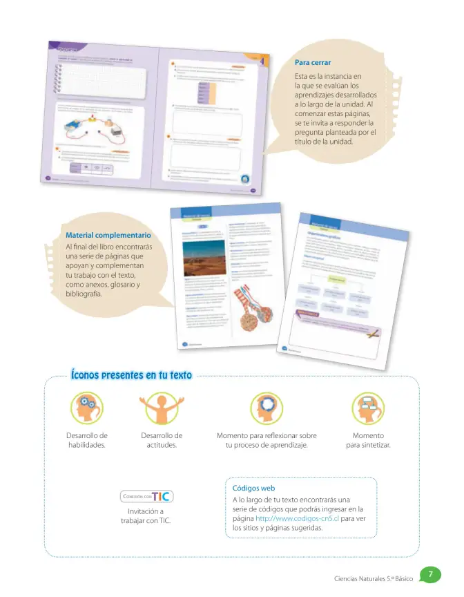 Página 51 de Libro de Ciencias Naturales – Quinto Básico | Texto del Estudiante MINEDUC – Descargar PDF · 2024
