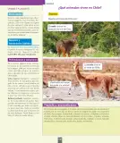 Miniatura página 139 de Ciencias Naturales – Primero Básico | Texto del Estudiante (MINEDUC) – Descargar PDF · 2024