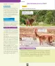 Miniatura página 139 de Ciencias Naturales – Primero Básico | Texto del Estudiante (MINEDUC) – Descargar PDF · 2024