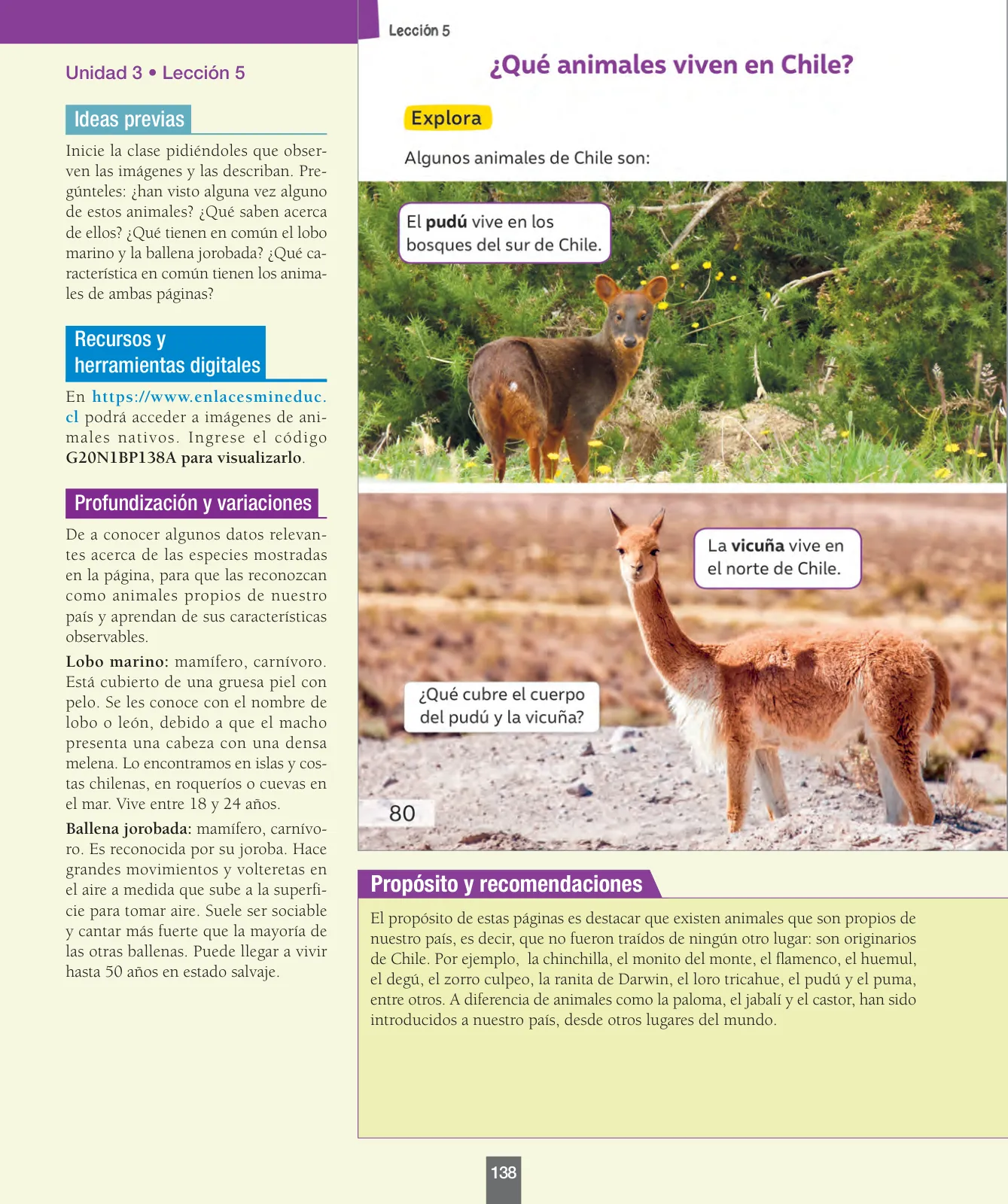 Miniatura página 139 de Ciencias Naturales – Primero Básico | Texto del Estudiante (MINEDUC) – Descargar PDF · 2024