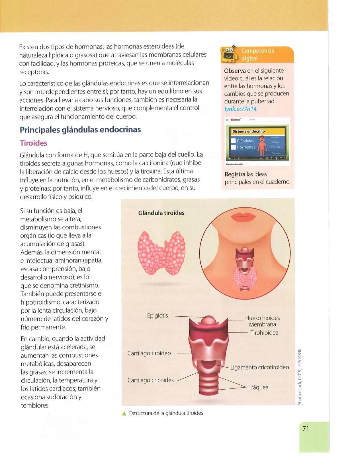 Miniatura página 70 de Ciencias Naturales · 7 EGB · 2024