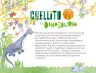 Miniatura página 147 de Múltiples lenguajes.   Libro de Educación Preescolar Grado 3°  Ciclo Escolar 2025 - 2026