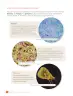 Miniatura página 118 de Libro de Ciencias Naturales – Quinto Básico | Texto del Estudiante MINEDUC – Descargar PDF · 2024