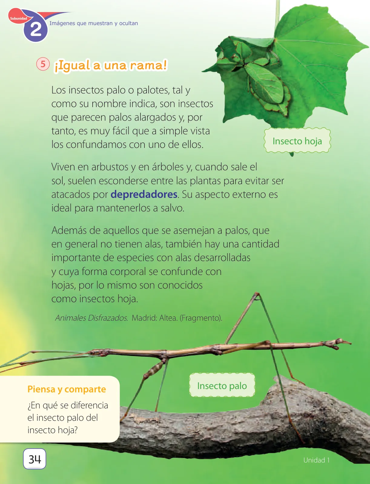 Pág 36