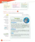 Miniatura página 82 de Lenguaje y Comunicación – Cuarto Básico | Texto del Estudiante MINEDUC – Descargar PDF · 2024