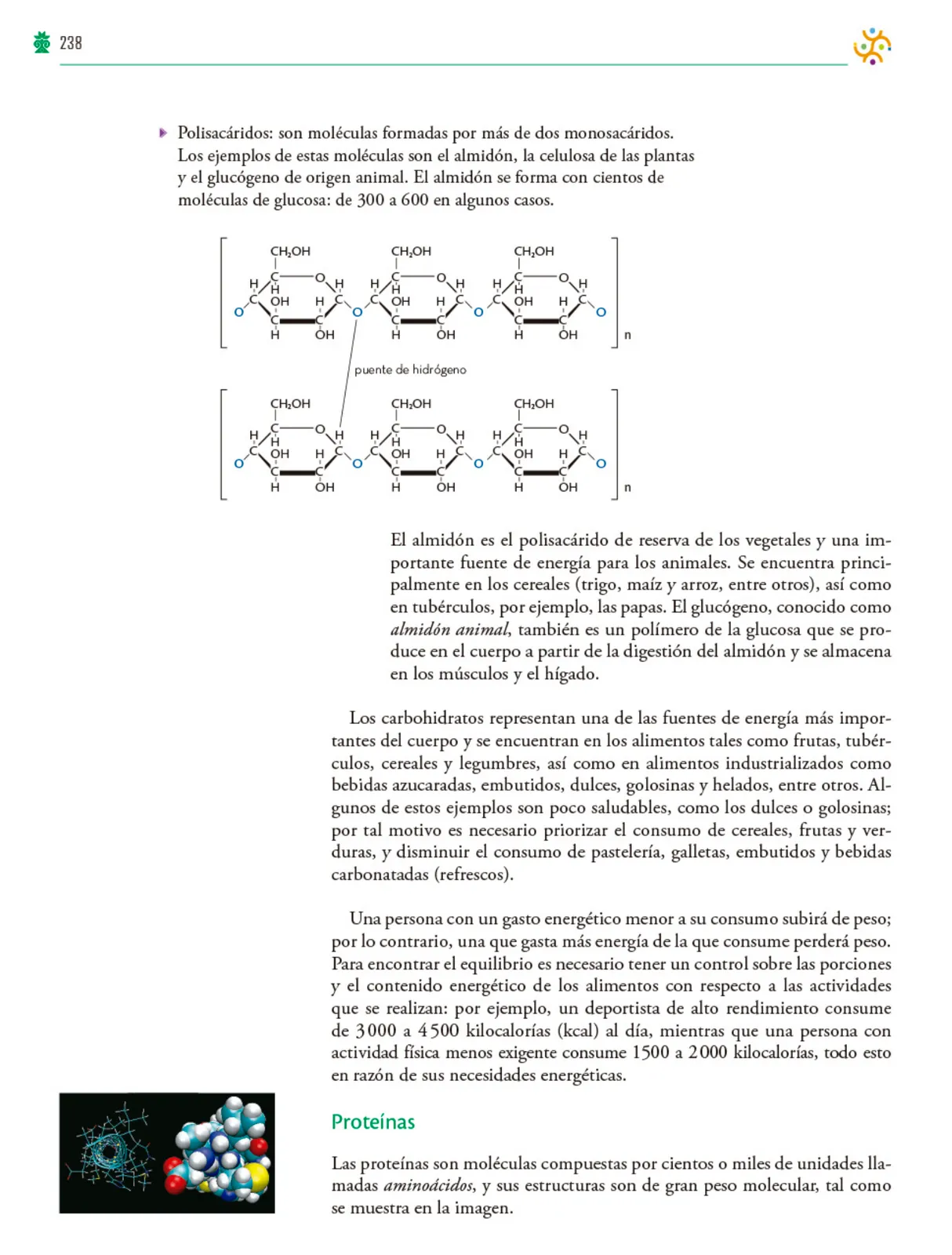 Miniatura página 239 de Colección Nanahuatzin. Saberes y pensamiento científico.   Libro de Educación Telesecundaria Grado 3°  Ciclo Escolar 2025 - 2026