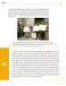 Miniatura página 181 de Colección Sk´asolil. Ética, naturaleza y sociedades.   Libro de Educación Secundaria Grado 2°  Ciclo Escolar 2025 - 2026
