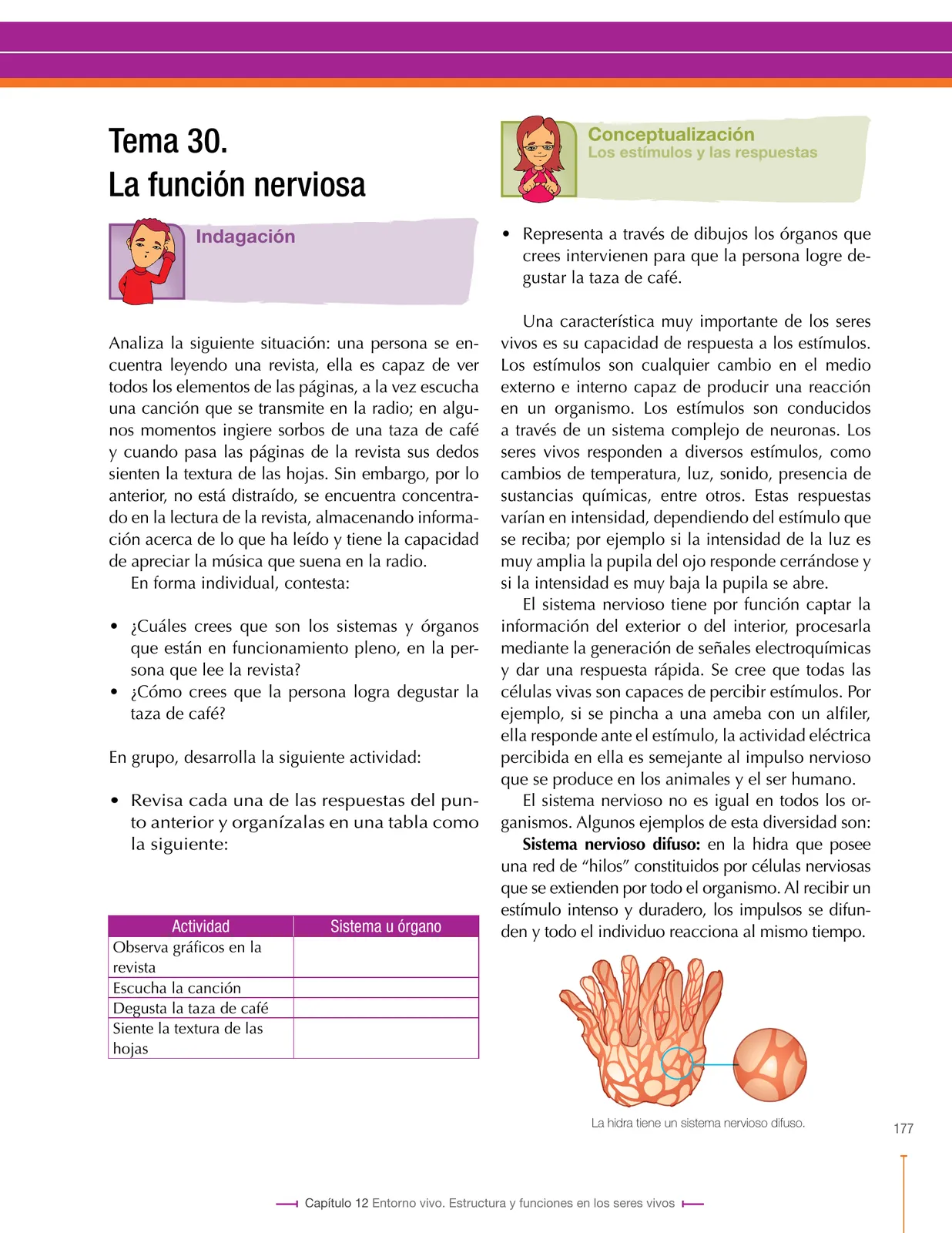 Miniatura página 177 de Ciencias Naturales 8° · Secundaria Activa