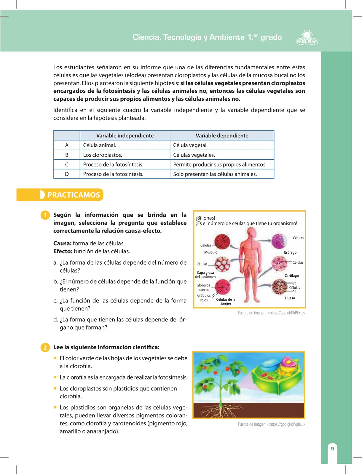 Página 9 de Ciencia, Tecnología y Ambiente 1. Cuaderno de reforzamiento pedagógico - JEC · 2016