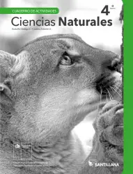 Portada de Ciencias Naturales – Cuarto Básico | Texto del Estudiante MINEDUC – Descargar PDF · 2024