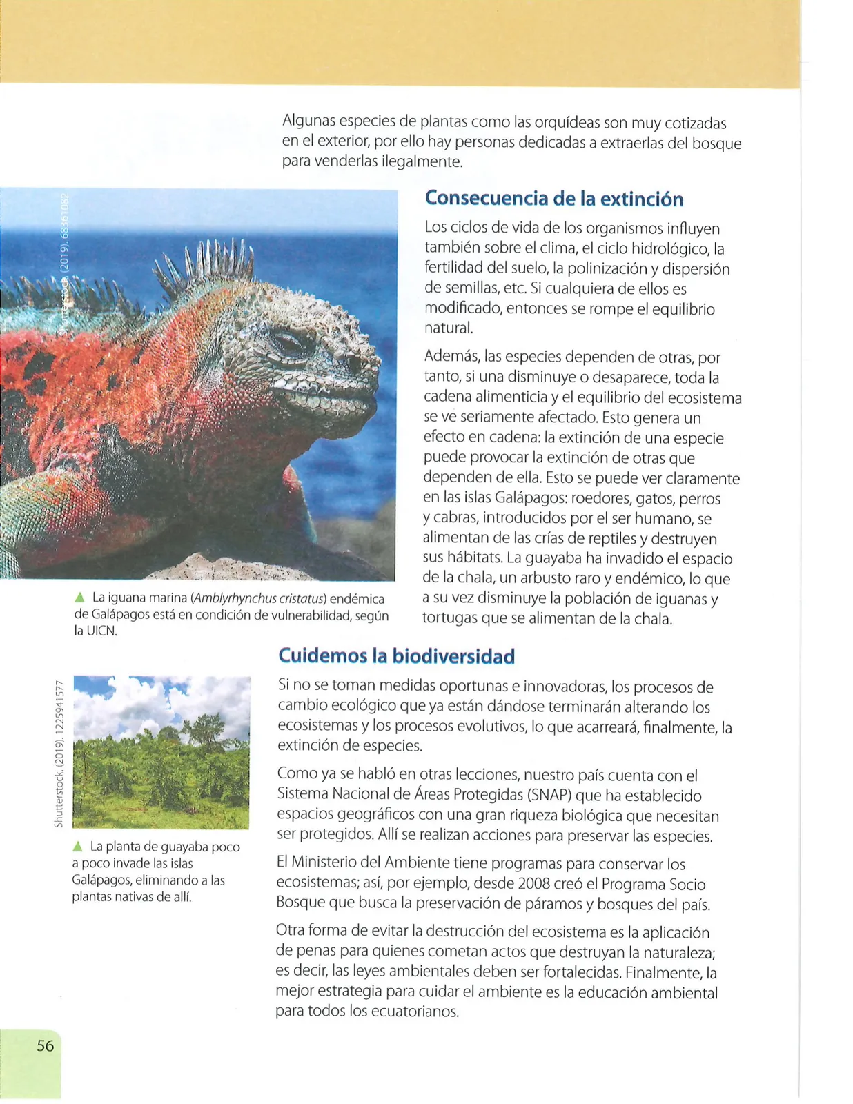 Miniatura página 55 de Ciencias Naturales · 7 EGB · 2024