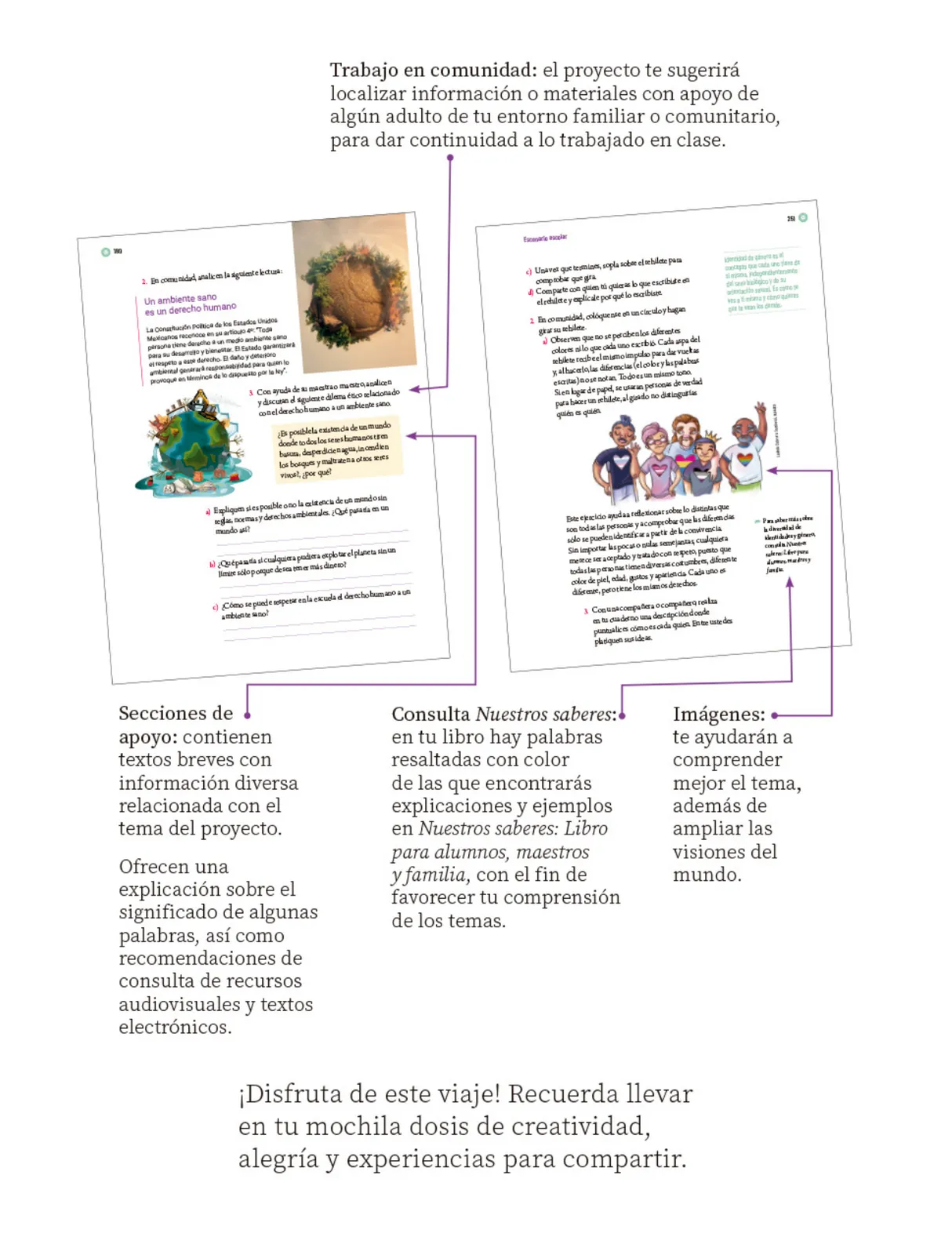 Miniatura página 7 de Proyectos Escolares.   Libro de Educación Primaria Grado 5°  Ciclo Escolar 2025 - 2026