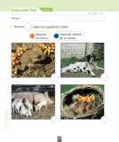 Miniatura página 123 de Ciencias Naturales – Primero Básico | Texto del Estudiante (MINEDUC) – Descargar PDF · 2024