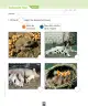 Miniatura página 123 de Ciencias Naturales – Primero Básico | Texto del Estudiante (MINEDUC) – Descargar PDF · 2024