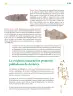 Miniatura página 190 de Colección Ximhai. Ética, naturaleza y sociedades.   Libro de Educación Telesecundaria Grado 1°  Ciclo Escolar 2025 - 2026