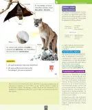 Miniatura página 74 de Ciencias Naturales – Segundo Básico | Texto del Estudiante MINEDUC – Descargar PDF · 2024