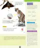 Miniatura página 74 de Ciencias Naturales – Segundo Básico | Texto del Estudiante MINEDUC – Descargar PDF · 2024
