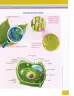 Miniatura página 42 de Ciencias Naturales 9° · 2025