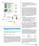 Miniatura página 33 de Sumo Primero – Cuarto Básico | Texto del Estudiante MINEDUC – Descargar PDF · 2024
