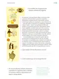 Miniatura página 24 de Proyectos Escolares.   Libro de Educación Primaria Grado 5°  Ciclo Escolar 2025 - 2026