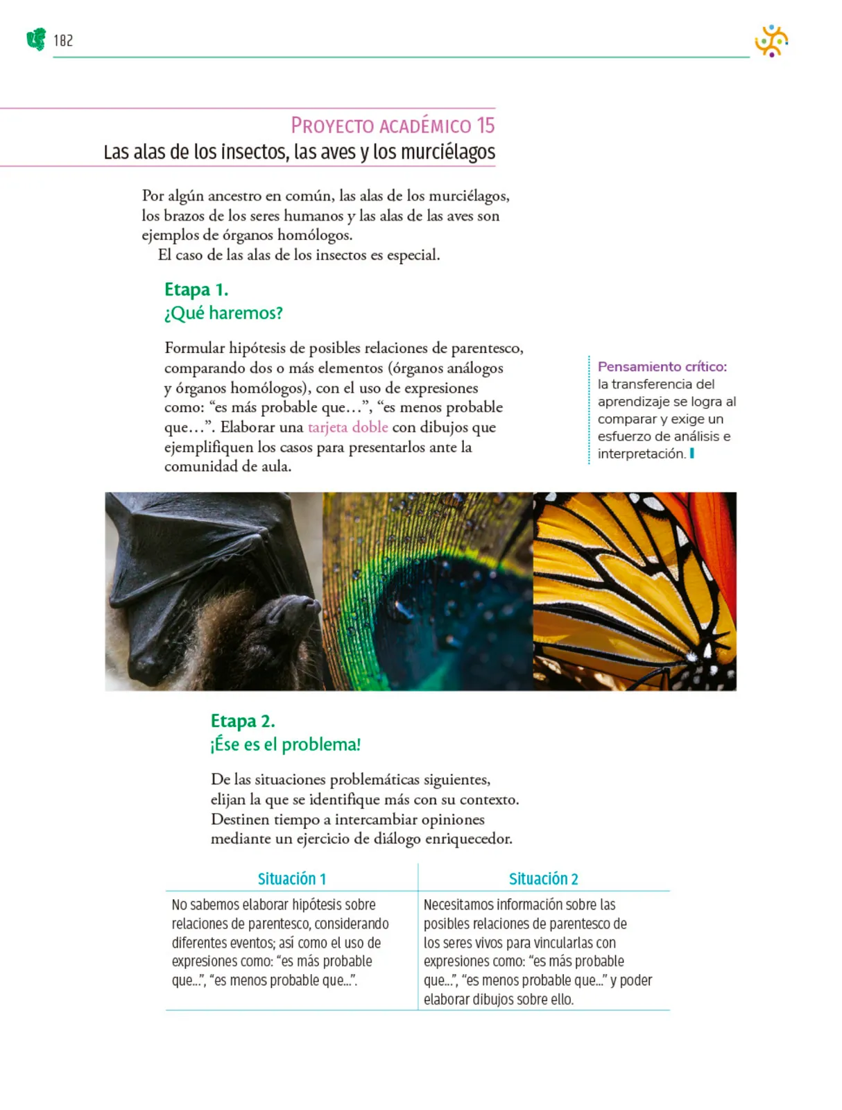 Página 183 de Colección Ximhai. Nuestro libro de Proyectos. Tomo I.   Libro de Educación Telesecundaria Grado 1°  Ciclo Escolar 2025 - 2026