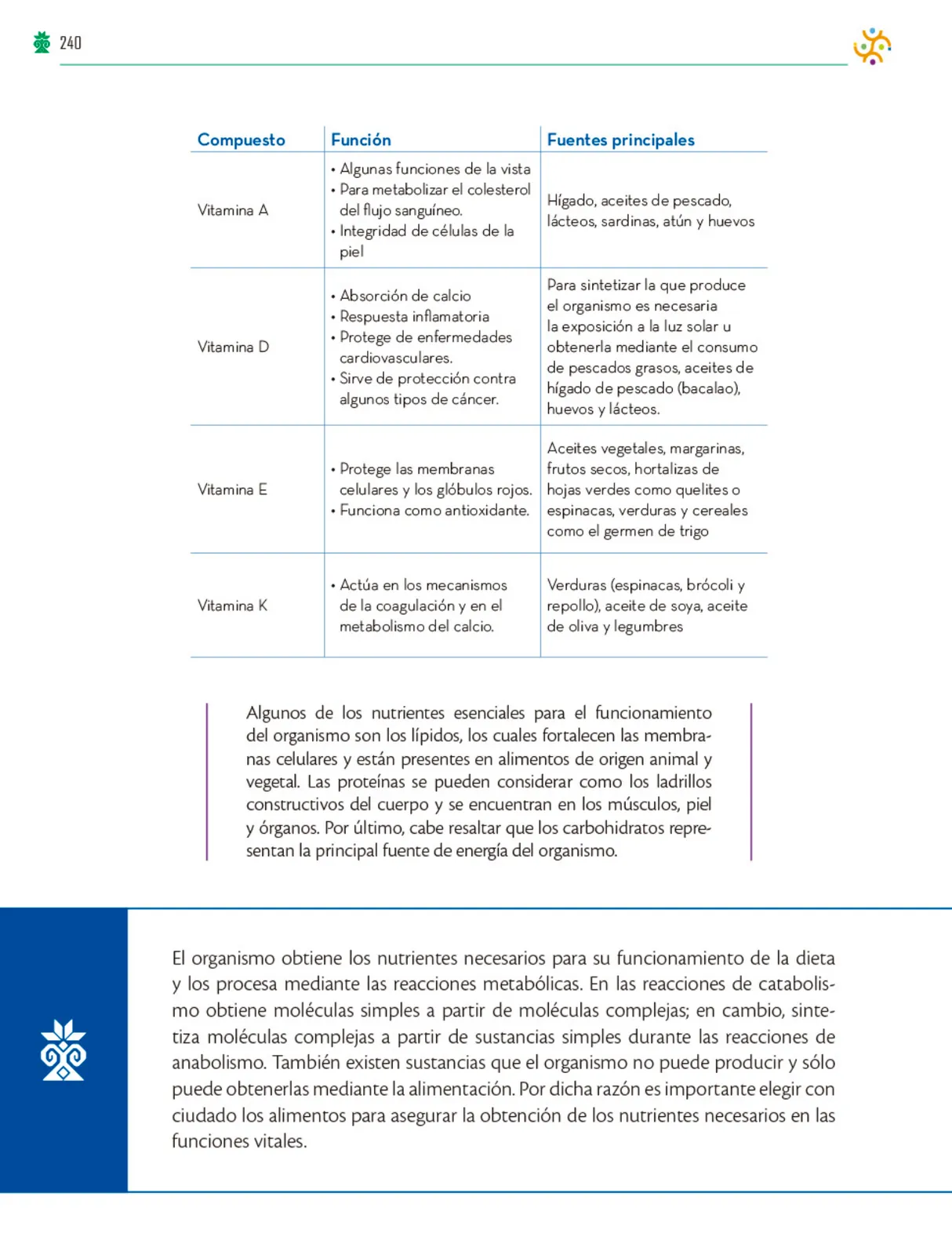 Página 241 de Colección Nanahuatzin. Saberes y pensamiento científico. Libro de Educación Telesecundaria Grado 3° Ciclo Escolar 2025 - 2026