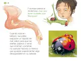Miniatura página 129 de Múltiples lenguajes.   Libro de Educación Preescolar Grado 1°  Ciclo Escolar 2025 - 2026