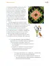 Miniatura página 142 de Proyectos Comunitarios.   Libro de Educación Primaria Grado 4°  Ciclo Escolar 2025 - 2026