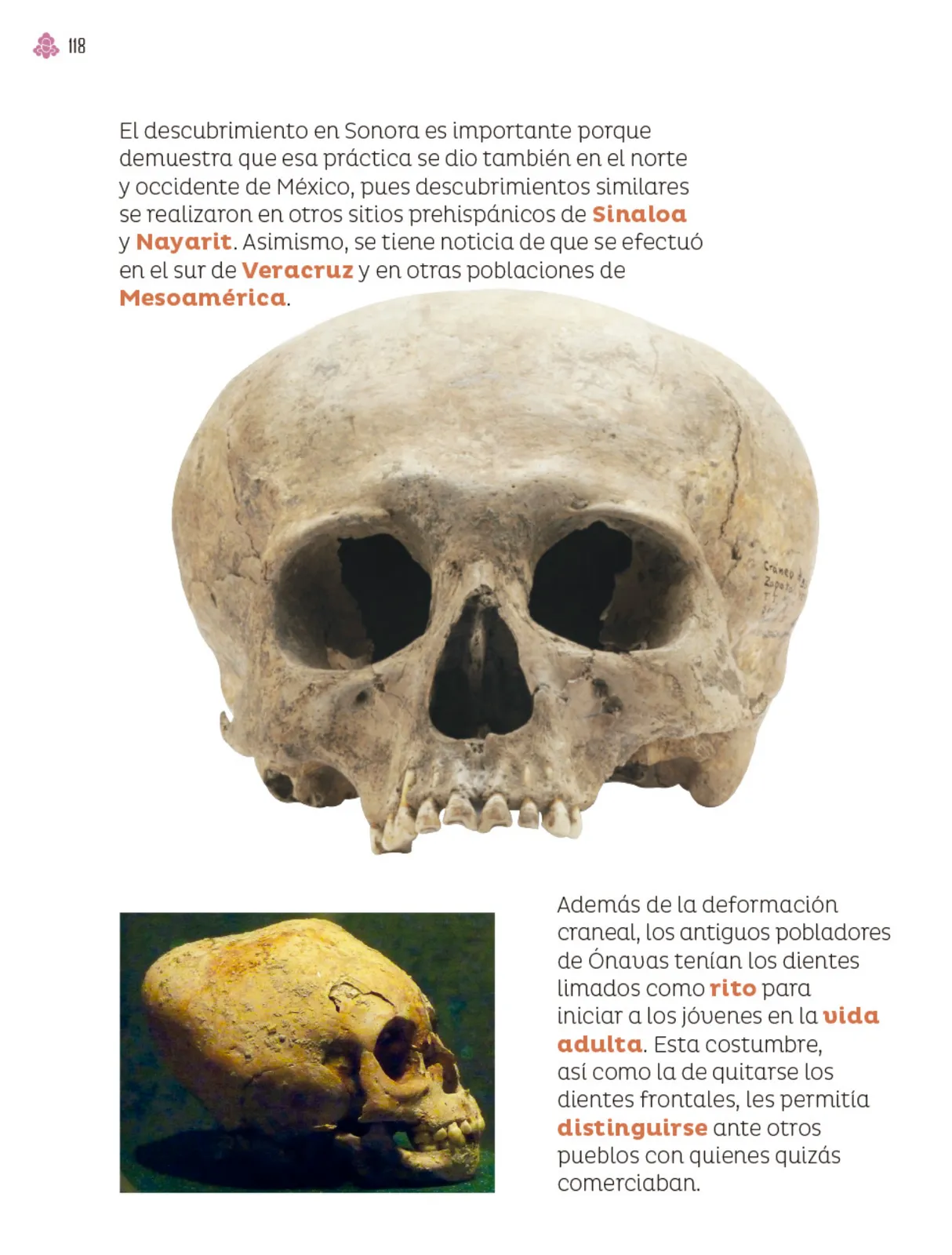 Página 119
