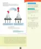 Miniatura página 44 de Ciencias Naturales – Séptimo Básico | Texto del Estudiante MINEDUC – Descargar PDF · 2024