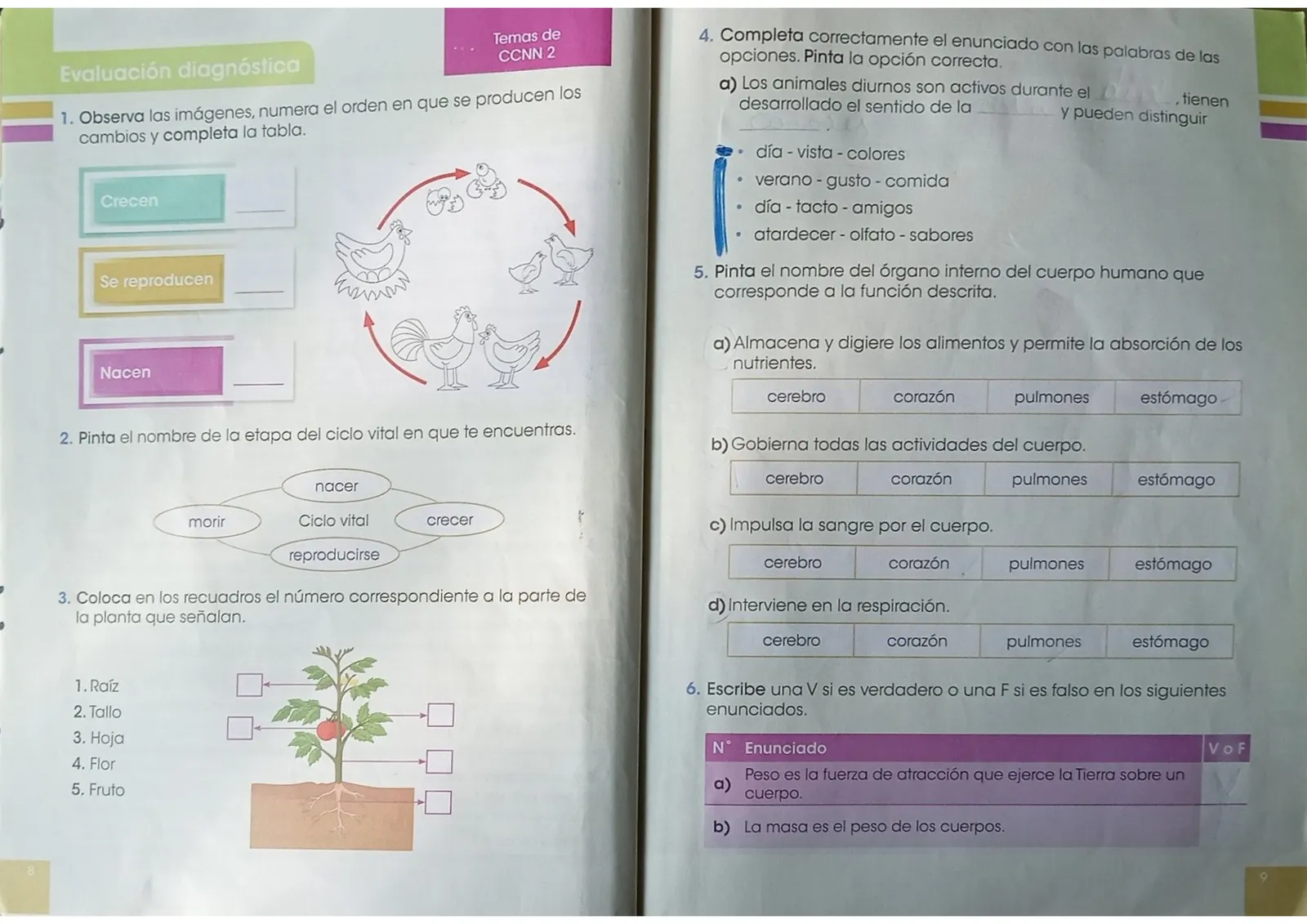 Página 3 de Ciencias Naturales 3° · Egb 3 Ciencias Naturales 2024 · 2024